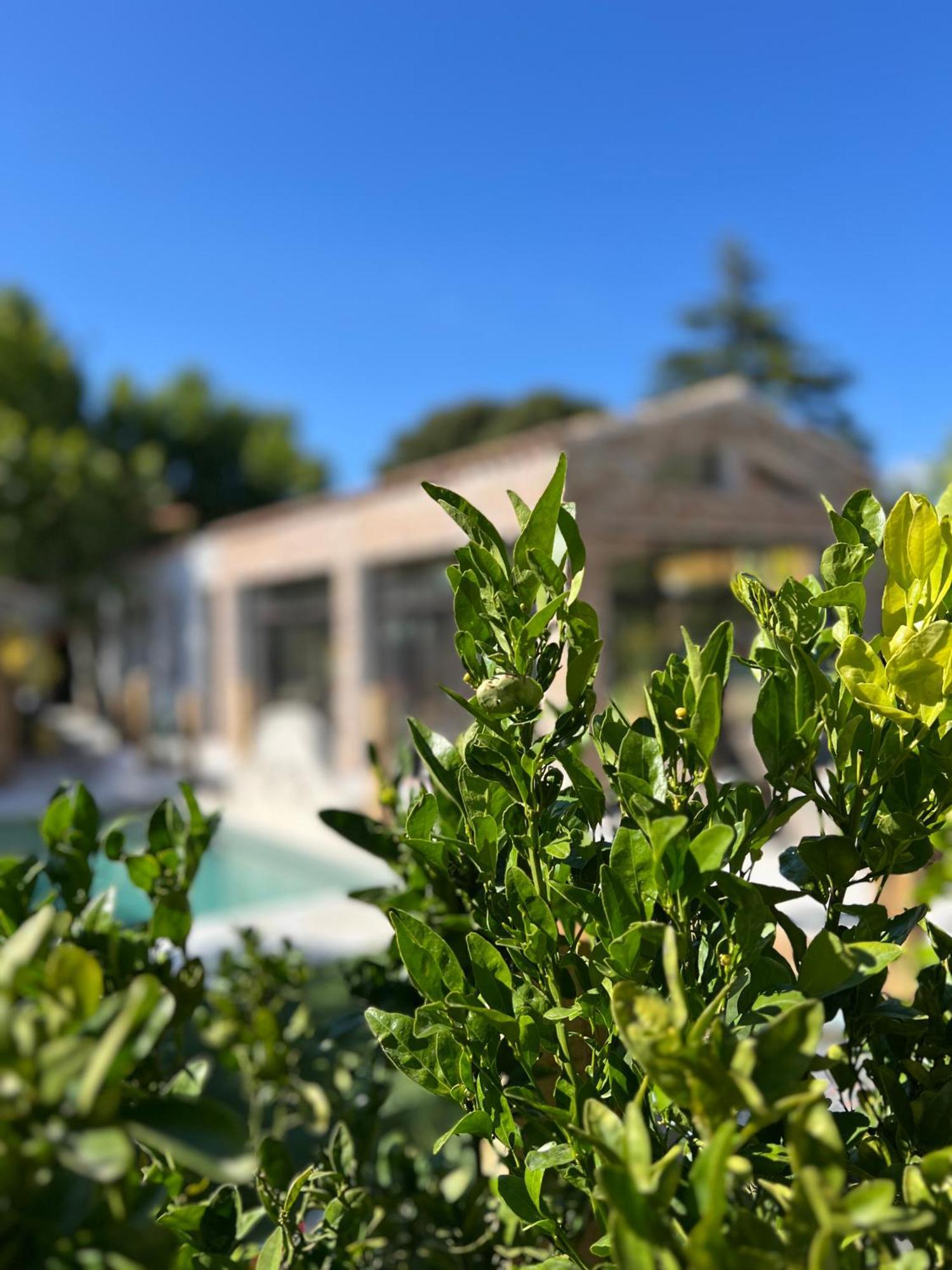 L'Intemporel Saint-Cyr-sur-Mer Εξωτερικό φωτογραφία